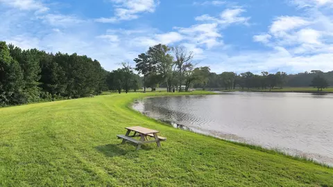 15365 Red Hawk Rd, Willis, TX 77378 photo 8