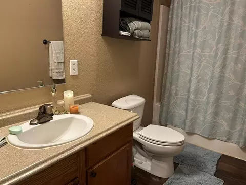 Bath - 162 Cove View Dr, Trinity, TX 75862 photo 4 of 5