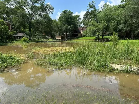 Other - 162 Cove View Dr, Trinity, TX 75862 photo 8 of 10