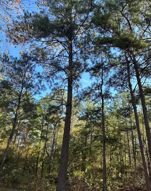 tbd 9845 Fm 149 Rd, Montgomery, TX 77316