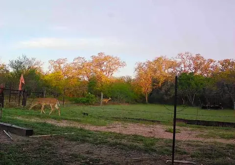 10423 State Highway 21 W, Crockett, TX 75835