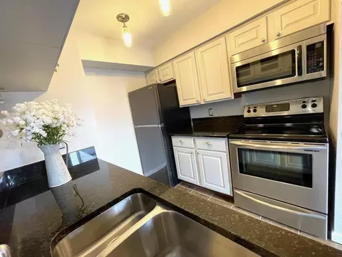 18519 Egret Bay Blvd #1405, Houston, TX 77058