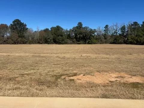 213 Hidden Oak Dr, Hockley, TX 77447