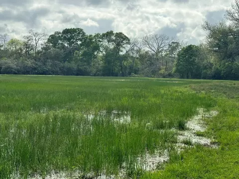 tbd County Road 394, El Campo, TX 77437