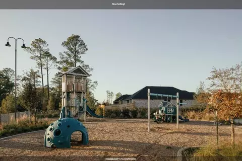 View/Area - 12064 Moonlight Path Dr, Conroe, TX 77304 photo 1 of 4