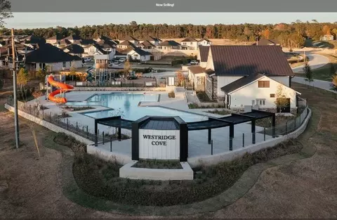 View/Area - 12064 Moonlight Path Dr, Conroe, TX 77304 photo 2 of 4