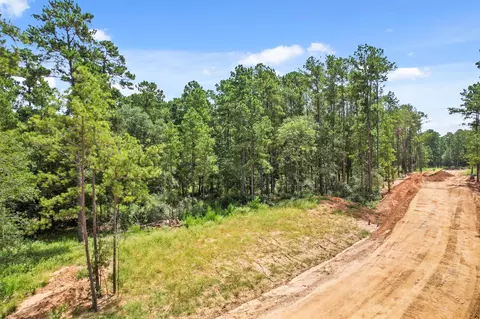4147 Augusta Dr, Montgomery, TX 77316