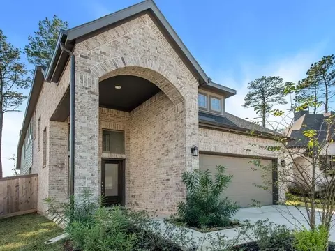 410 Soapberry Tree Ct, Willis, TX 77318