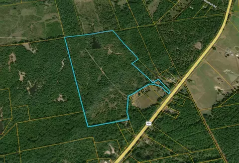 0 Jones Loop, Gilmer, TX 75644