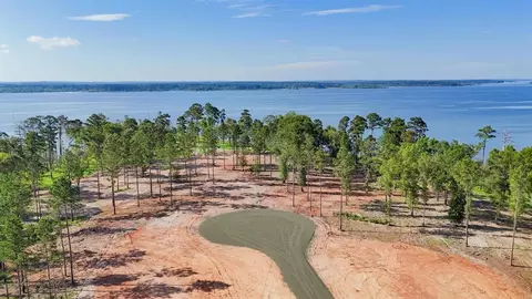 157 Foster Cv, Pineland, TX 75968