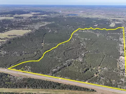 5 Highway 146, Livingston, TX 77351