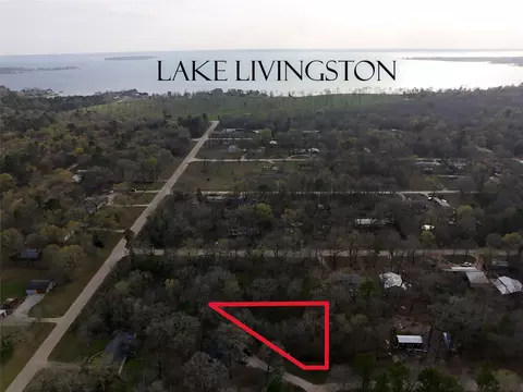 tbd Mossy Dr, Livingston, TX 77351