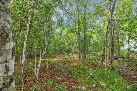 23 Pronghorn Pl, Spring, TX 77389 photo 6