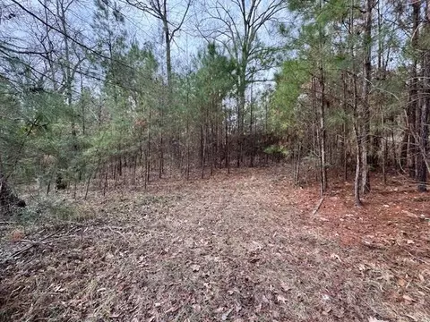 2226 Wells Landing Rd, Onalaska, TX 77360