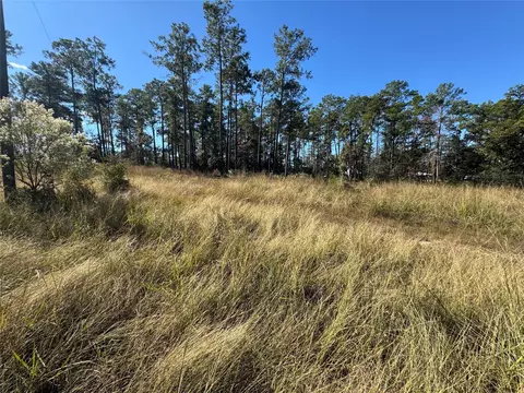 064 Private Road 6026 Tract 1-64, Brookeland, TX 75931