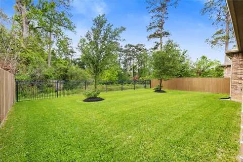 Exterior - 231 Bee Balm Ct, Conroe, TX 77304 photo 5 of 8