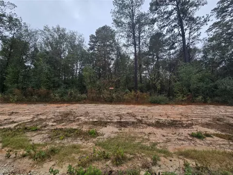 142 Splendid Rd, New Waverly, TX 77358