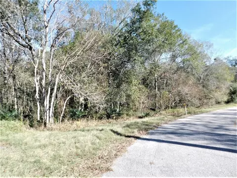 0 Brazos River Dr, Damon, TX 77430
