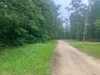 000 Wildwood Flower Cir, Livingston, TX 77351