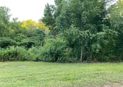 00 White Oak Dr, Point Blank, TX 77364