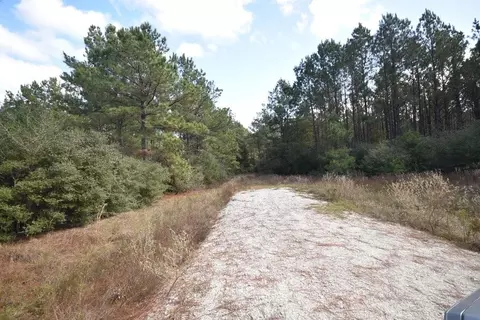 Exterior - 0 Bo Brown Rd, Trinity, TX 75862 photo 1 of 2