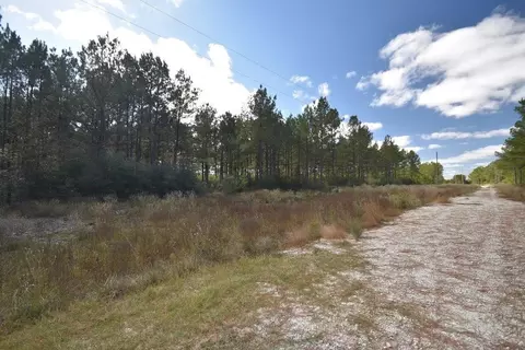 Other - 0 Bo Brown Rd, Trinity, TX 75862 photo 4 of 11