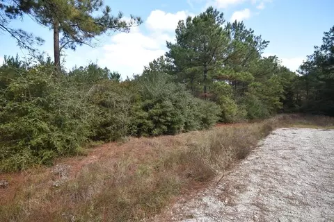 Exterior - 0 Bo Brown Rd, Trinity, TX 75862 photo 2 of 2