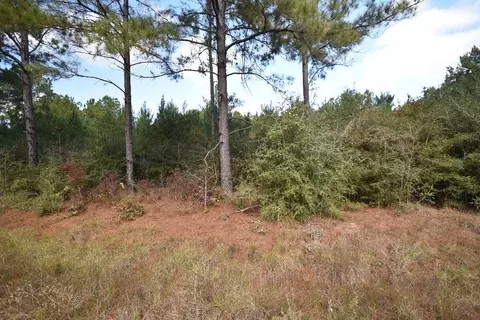 Other - 0 Bo Brown Rd, Trinity, TX 75862 photo 2 of 11