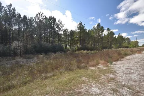 Other - 0 Bo Brown Rd, Trinity, TX 75862 photo 5 of 11
