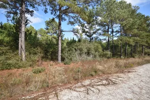 Other - 0 Bo Brown Rd, Trinity, TX 75862 photo 6 of 11