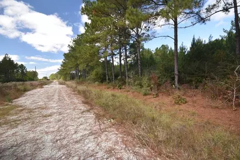 Other - 0 Bo Brown Rd, Trinity, TX 75862 photo 3 of 11