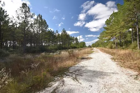Other - 0 Bo Brown Rd, Trinity, TX 75862 photo 8 of 11