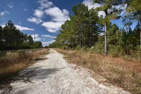 Other - 0 Bo Brown Rd, Trinity, TX 75862 photo 7 of 11