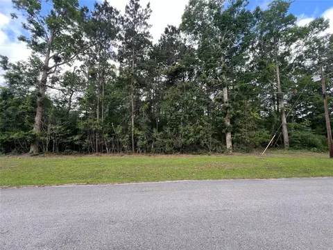 319 Lost Lake Trl, Livingston, TX 77351