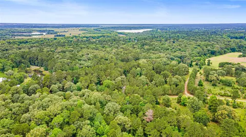 tbd Ben Blair Rd, Trinity, TX 75862 photo 5