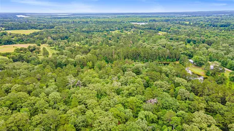 tbd Ben Blair Rd, Trinity, TX 75862 photo 6