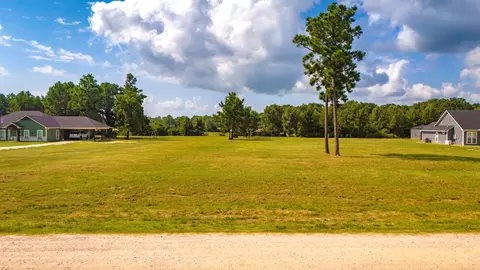 350 Brushy Creek Dr, Onalaska, TX 77360