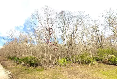 0 Black Cat Rd, Sour Lake, TX 77659