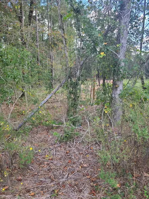 tbd Fostoria Tram, Cleveland, TX 77328