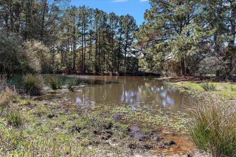 View/Area - 394 Fm 230, Trinity, TX 75862 photo 5 of 8