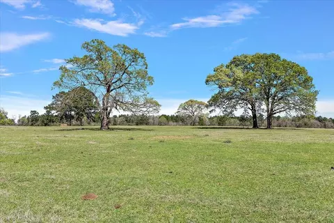 Other - 394 Fm 230, Trinity, TX 75862 photo 12 of 13
