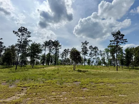 lot74 Western Rd, Livingston, TX 77351