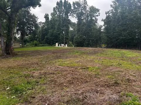 2 Lots Blanks Bend Bnd, Coldspring, TX 77331 photo 2
