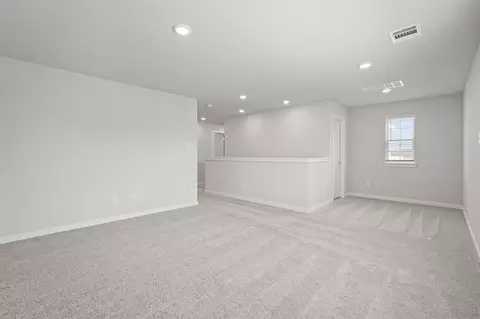 Other - 217 Elm Spring Dr, Hockley, TX 77447 photo 4 of 5