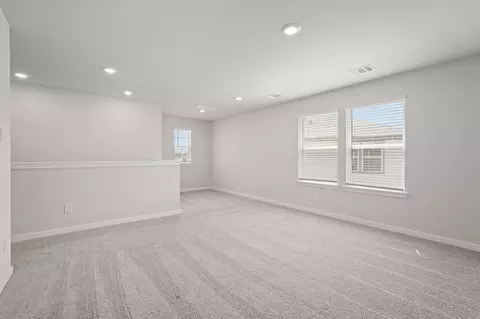 Other - 217 Elm Spring Dr, Hockley, TX 77447 photo 3 of 5