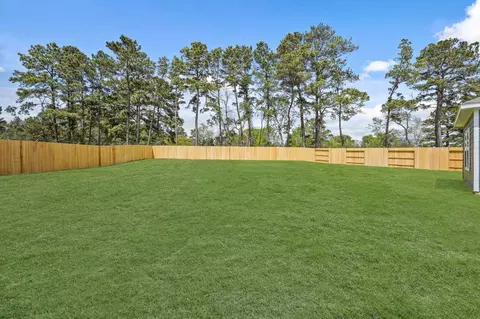 Exterior - 217 Elm Spring Dr, Hockley, TX 77447 photo 3 of 3