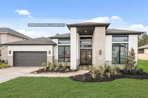 26811 Mustang Springs Ct, Montgomery, TX 77316