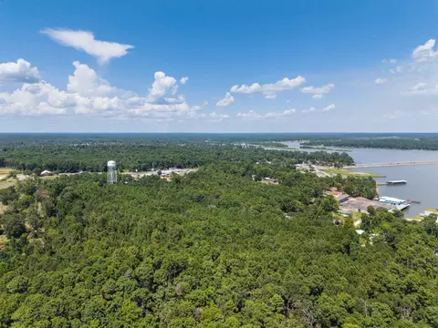 272 Artesian, Onalaska, TX 77360 photo 2