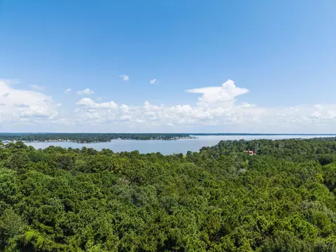 272 Artesian, Onalaska, TX 77360 photo 4