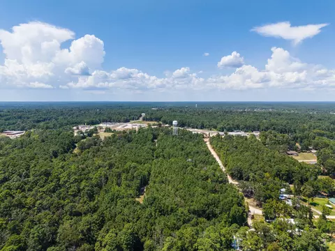 272 Artesian, Onalaska, TX 77360 photo 3